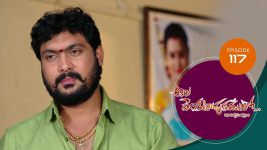 Ala Venkatapuram Lo S01 E117 23rd June 2021