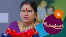 Ala Venkatapuram Lo S01 E12 20th February 2021