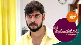 Ala Venkatapuram Lo S01 E137 16th July 2021