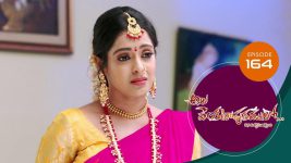 Ala Venkatapuram Lo S01 E164 17th August 2021