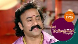 Ala Venkatapuram Lo S01 E175 30th August 2021