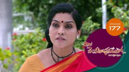 Ala Venkatapuram Lo S01 E177 1st September 2021