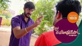 Ala Venkatapuram Lo S01 E183 8th September 2021