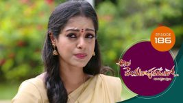 Ala Venkatapuram Lo S01 E186 11th September 2021