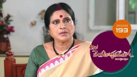 Ala Venkatapuram Lo S01 E193 20th September 2021