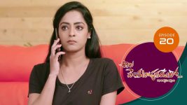 Ala Venkatapuram Lo S01 E20 2nd March 2021