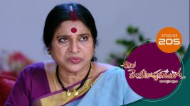 Ala Venkatapuram Lo S01 E205 4th October 2021