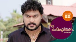 Ala Venkatapuram Lo S01 E22 4th March 2021