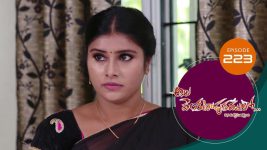 Ala Venkatapuram Lo S01 E223 25th October 2021