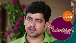 Ala Venkatapuram Lo S01 E224 26th October 2021