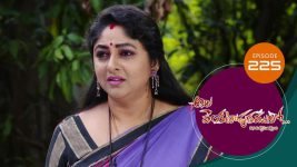 Ala Venkatapuram Lo S01 E225 27th October 2021