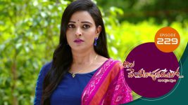 Ala Venkatapuram Lo S01 E229 1st November 2021