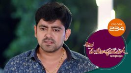 Ala Venkatapuram Lo S01 E234 6th November 2021