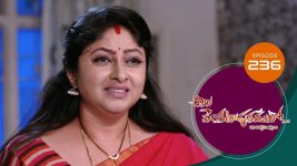 Ala Venkatapuram Lo S01 E236 9th November 2021