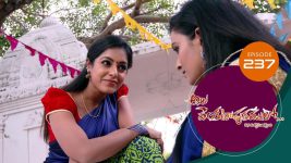 Ala Venkatapuram Lo S01 E237 10th November 2021