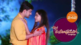 Ala Venkatapuram Lo S01 E242 16th November 2021