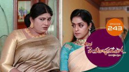 Ala Venkatapuram Lo S01 E243 17th November 2021