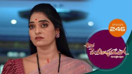 Ala Venkatapuram Lo S01 E246 20th November 2021