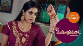 Ala Venkatapuram Lo S01 E247 22nd November 2021