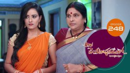 Ala Venkatapuram Lo S01 E248 23rd November 2021