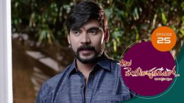 Ala Venkatapuram Lo S01 E25 8th March 2021