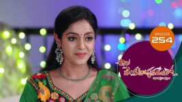 Ala Venkatapuram Lo S01 E254 30th November 2021