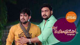 Ala Venkatapuram Lo S01 E256 2nd December 2021