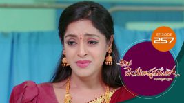 Ala Venkatapuram Lo S01 E257 3rd December 2021