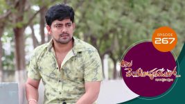 Ala Venkatapuram Lo S01 E267 15th December 2021