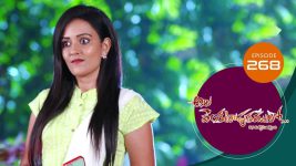 Ala Venkatapuram Lo S01 E268 16th December 2021