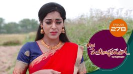 Ala Venkatapuram Lo S01 E278 28th December 2021