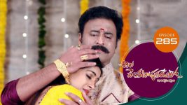 Ala Venkatapuram Lo S01 E285 5th January 2022