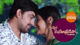 Ala Venkatapuram Lo S01 E286 6th January 2022