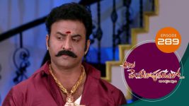 Ala Venkatapuram Lo S01 E289 10th January 2022