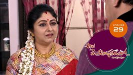 Ala Venkatapuram Lo S01 E29 12th March 2021