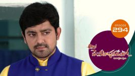 Ala Venkatapuram Lo S01 E294 15th January 2022