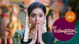 Ala Venkatapuram Lo S01 E30 13th March 2021