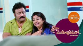 Ala Venkatapuram Lo S01 E305 28th January 2022