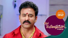 Ala Venkatapuram Lo S01 E312 5th February 2022