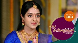 Ala Venkatapuram Lo S01 E313 7th February 2022