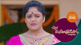 Ala Venkatapuram Lo S01 E316 10th February 2022