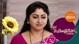 Ala Venkatapuram Lo S01 E324 19th February 2022