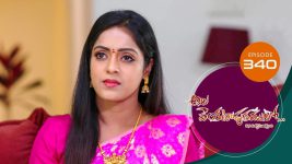 Ala Venkatapuram Lo S01 E340 10th March 2022