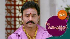 Ala Venkatapuram Lo S01 E341 11th March 2022