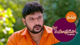 Ala Venkatapuram Lo S01 E342 12th March 2022