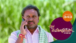 Ala Venkatapuram Lo S01 E343 14th March 2022