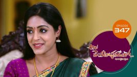 Ala Venkatapuram Lo S01 E347 18th March 2022