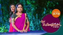 Ala Venkatapuram Lo S01 E373 18th April 2022