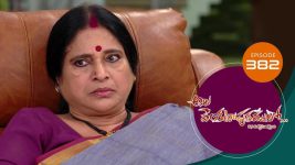 Ala Venkatapuram Lo S01 E382 28th April 2022