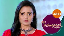 Ala Venkatapuram Lo S01 E400 19th May 2022